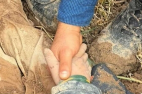 Kan donduran olay! Yeğenini yaralayıp toprağa gömdü!