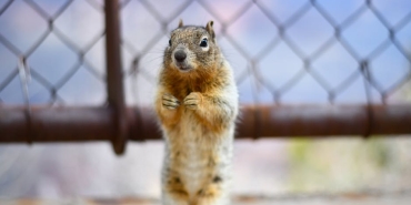 Cem-Yilmaz8217dan-Merakla-Beklenen-GORA4GORA-Dizisinin-Kadrosu-Netlesti-featured