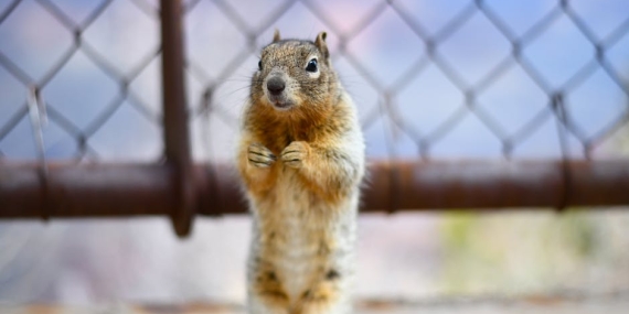 Cem-Yilmaz8217dan-Merakla-Beklenen-GORA4GORA-Dizisinin-Kadrosu-Netlesti-featured