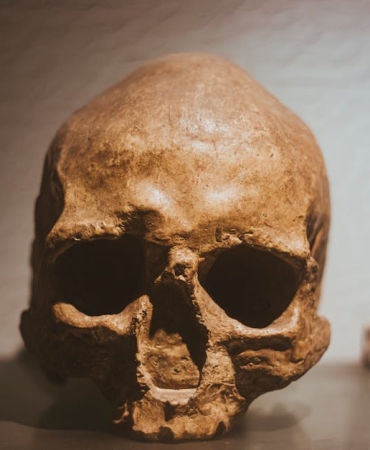 Izmit8217te-Supheli-Olum-Genc-Adam-Babasinin-Aracinda-Olu-Bulundu-featured